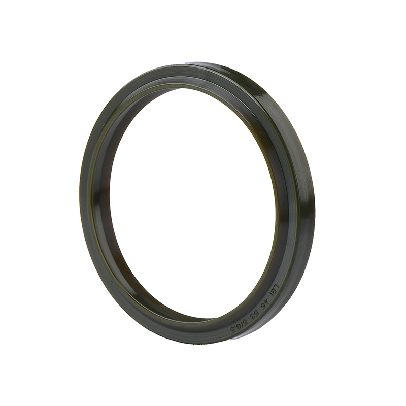 LBI-Hydraulic-Seals---Debu-seal