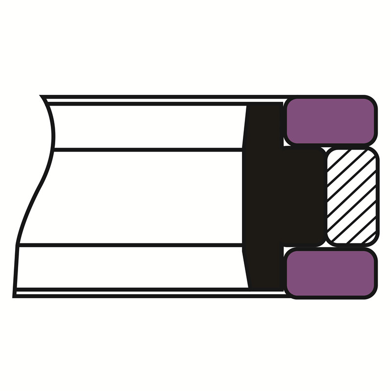 SPGW Hydraulic seals – Piston seals - SPGW0